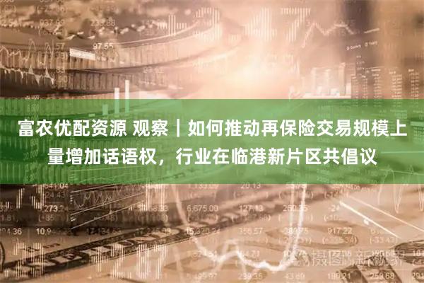 富农优配资源 观察｜如何推动再保险交易规模上量增加话语权，行业在临港新片区共倡议