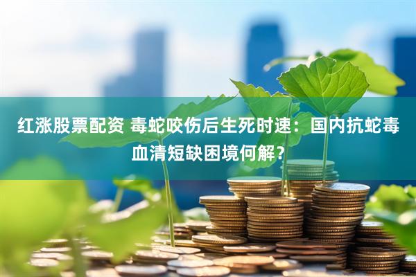 红涨股票配资 毒蛇咬伤后生死时速：国内抗蛇毒血清短缺困境何解？