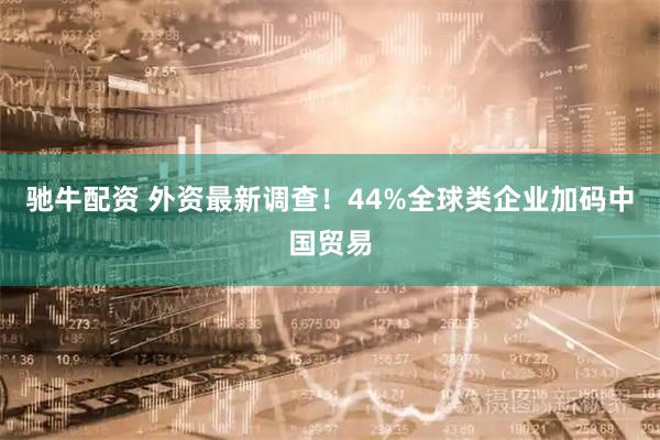 驰牛配资 外资最新调查！44%全球类企业加码中国贸易