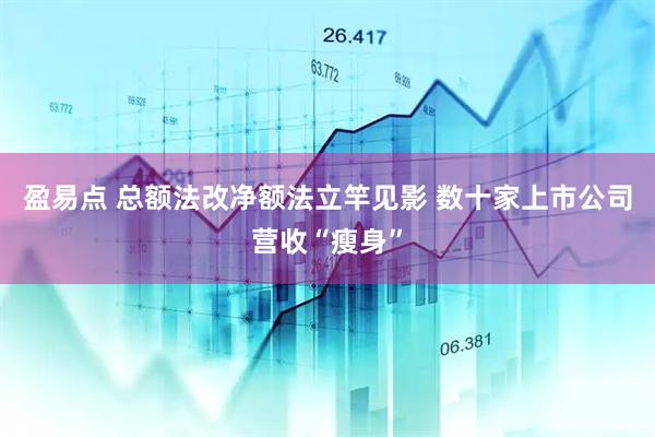 盈易点 总额法改净额法立竿见影 数十家上市公司营收“瘦身”