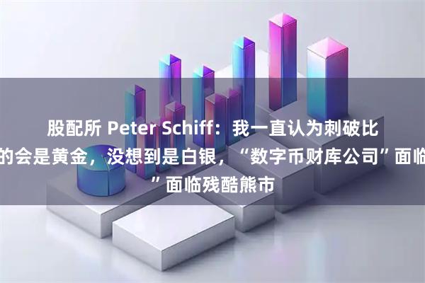 股配所 Peter Schiff：我一直认为刺破比特币泡沫的会是黄金，没想到是白银，“数字币财库公司”面临残酷熊市