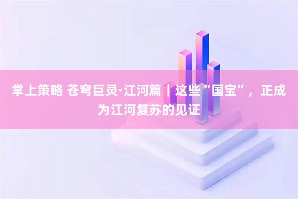 掌上策略 苍穹巨灵·江河篇｜这些“国宝”，正成为江河复苏的见证