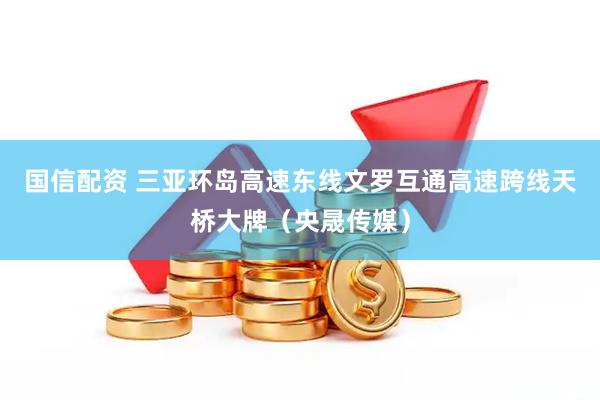 国信配资 三亚环岛高速东线文罗互通高速跨线天桥大牌（央晟传媒）