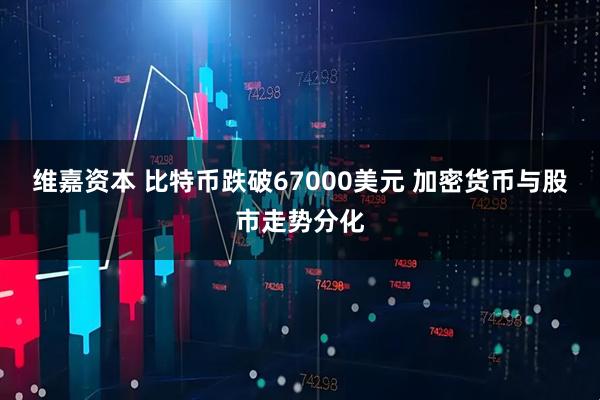 维嘉资本 比特币跌破67000美元 加密货币与股市走势分化