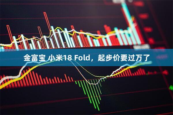 金富宝 小米18 Fold，起步价要过万了